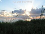 Bonita Beach sea oats