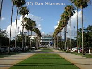 Minnesota Twins Spring Training (and Miracles league) baseball stadium